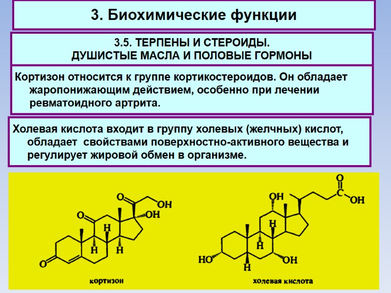3. Биохимические функции 3.5. ТЕРПЕНЫ И СТЕРОИДЫ.  ДУШИСТЫЕ МАСЛА И ПОЛОВЫЕ ГОРМОНЫ Кортизон